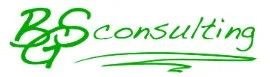 BGS Consulting